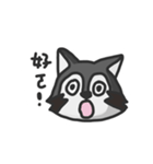 nasty raccoon（個別スタンプ：34）