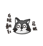 nasty raccoon（個別スタンプ：35）