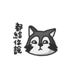 nasty raccoon（個別スタンプ：36）