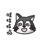 nasty raccoon（個別スタンプ：39）