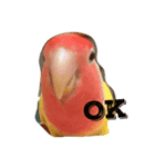 piiiiichiiii（個別スタンプ：5）