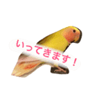 piiiiichiiii（個別スタンプ：7）