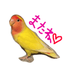 piiiiichiiii（個別スタンプ：8）