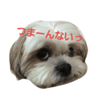 まろんふぁみりー（個別スタンプ：4）