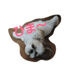 まろんふぁみりー（個別スタンプ：5）