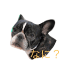 リロ（個別スタンプ：4）