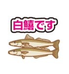 釣り女♡鱚子(きすこ)3（個別スタンプ：6）