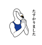 紳士な白鳥の彼 なかなか使う（個別スタンプ：3）