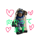 konosukestamp（個別スタンプ：1）