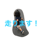 konosukestamp（個別スタンプ：13）
