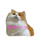 まるおその1（個別スタンプ：9）