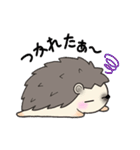 Of hedgehog harisu sticker it faintly（個別スタンプ：21）