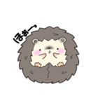 Of hedgehog harisu sticker it faintly（個別スタンプ：27）