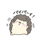Of hedgehog harisu sticker it faintly（個別スタンプ：37）