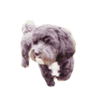 my dog and my friends（個別スタンプ：2）