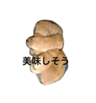 アシタカのアイドル（個別スタンプ：18）
