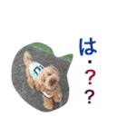 元気なラム君（個別スタンプ：1）