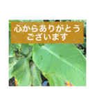 役に立つ言葉を集めました（個別スタンプ：8）