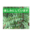 役に立つ言葉を集めました（個別スタンプ：9）