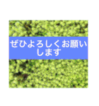 役に立つ言葉を集めました（個別スタンプ：11）