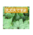 役に立つ言葉を集めました（個別スタンプ：12）