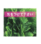 役に立つ言葉を集めました（個別スタンプ：15）