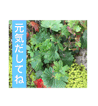 役に立つ言葉を集めました（個別スタンプ：16）