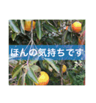 役に立つ言葉を集めました（個別スタンプ：25）