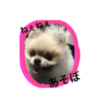 ぽん太＆てぃお（個別スタンプ：3）