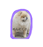 ぽん太＆てぃお（個別スタンプ：4）