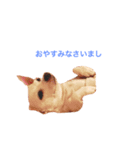 ロコぴ（個別スタンプ：6）