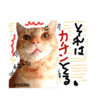 Yogi-chan 3（個別スタンプ：11）