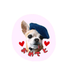 ruby sticker 3（個別スタンプ：2）