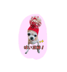 ruby sticker 3（個別スタンプ：4）