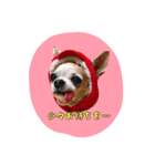 ruby sticker 3（個別スタンプ：6）