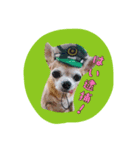 ruby sticker 3（個別スタンプ：8）