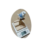 ゆずとみるく（個別スタンプ：11）