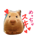 プリン＆アル（個別スタンプ：1）