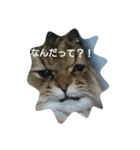 ぼくはみるこ 2（個別スタンプ：1）