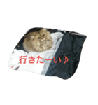ぼくはみるこ 2（個別スタンプ：3）