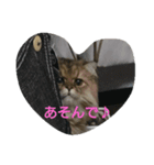 ぼくはみるこ 2（個別スタンプ：6）