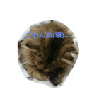 ぼくはみるこ 2（個別スタンプ：8）