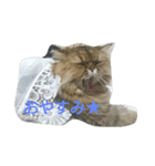 ぼくはミルコ（個別スタンプ：8）