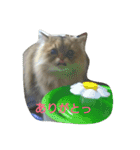 ぼくはミルコ（個別スタンプ：10）