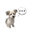 mac ＆ moco（個別スタンプ：3）