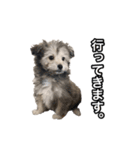 mac ＆ moco（個別スタンプ：7）
