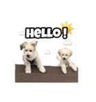 mac ＆ moco（個別スタンプ：15）