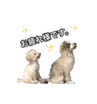 mac ＆ moco（個別スタンプ：19）