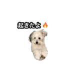 mac ＆ moco（個別スタンプ：23）
