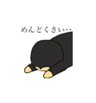 SSゴリラ（個別スタンプ：11）